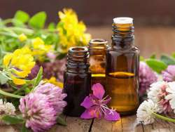 7 Tuyệt Chiêu Khữ Mùi Nhà Vệ Sinh Hiệu Quả Bất Ngờ