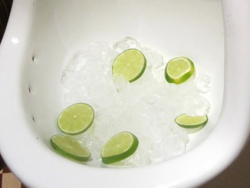 Lợi Ích Tuyệt Vời Của Việc Đổ Đá Vào Bồn Cầu